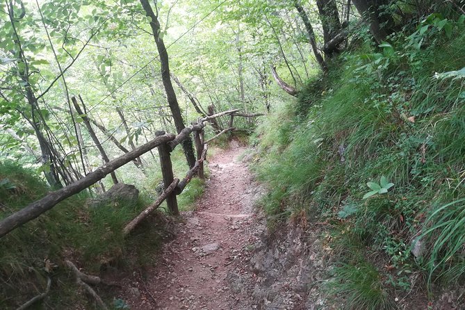 1 Day Trekking - Il Sentiero del Viandante: BELLANO. VARENNA - Who should book this trek, and who should think twice