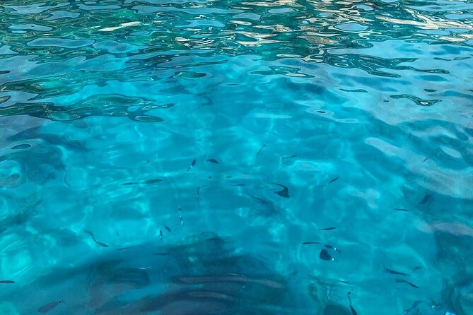 3 Hour shared Cinque Terre tour + Swim Stops at Secluded Beaches! - Swim and snorkeling stops at quiet coves