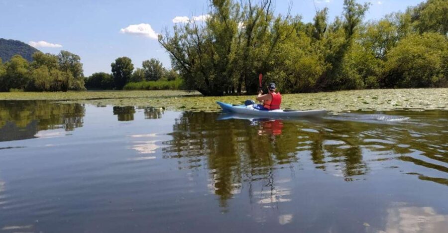 Adda River: Half day Kayak Trip - Key highlights worth your time