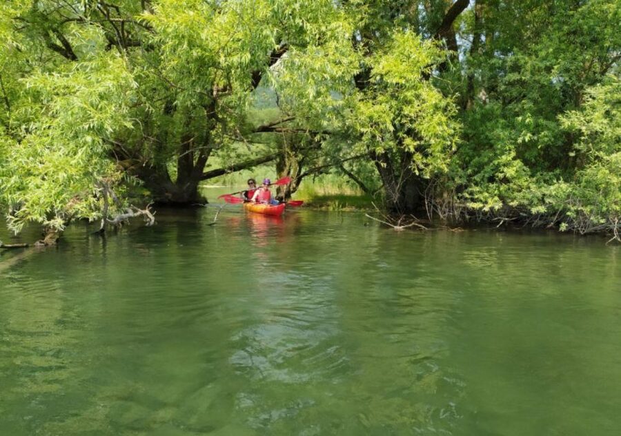 Adda River: Half day Kayak Trip - Why the Adda River kayak trip is so satisfying for first-timers