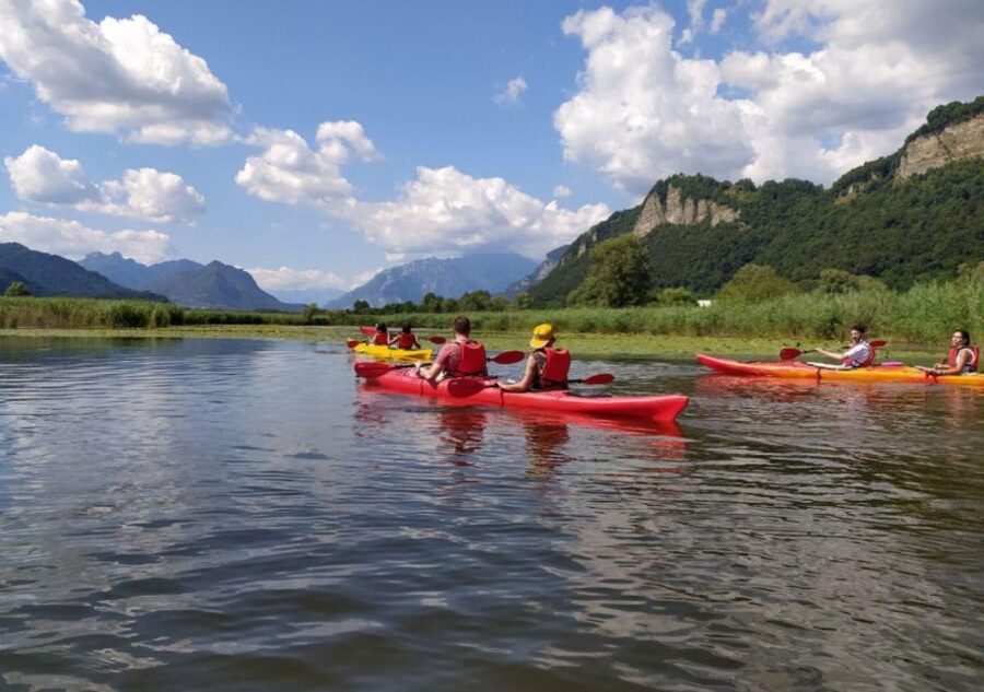 Adda River: Half day Kayak Trip - Pace and difficulty: easy kayaking, but not “lazy day” easy