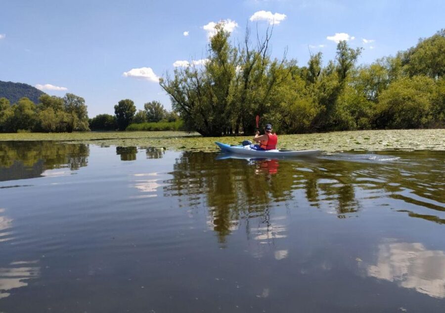 Adda River: Half day Kayak Trip - The real value of paying $58 for gear, guide, and 2.5 hours of river time