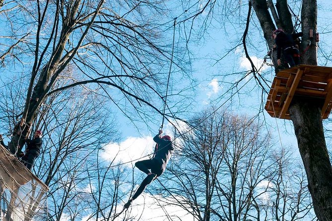 Adult Daily ticket for Adventure Park in Gravedona - Views, shade, and breaks: plan for energy, not just adrenaline