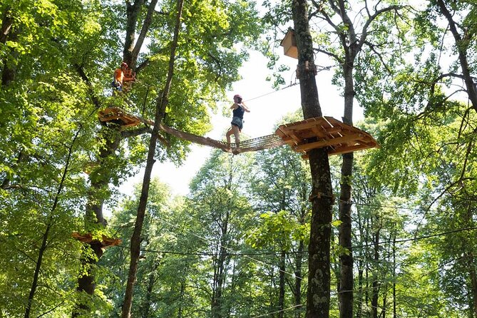 Adult Daily ticket for Adventure Park in Gravedona - Value: why the ticket makes sense for real time outside