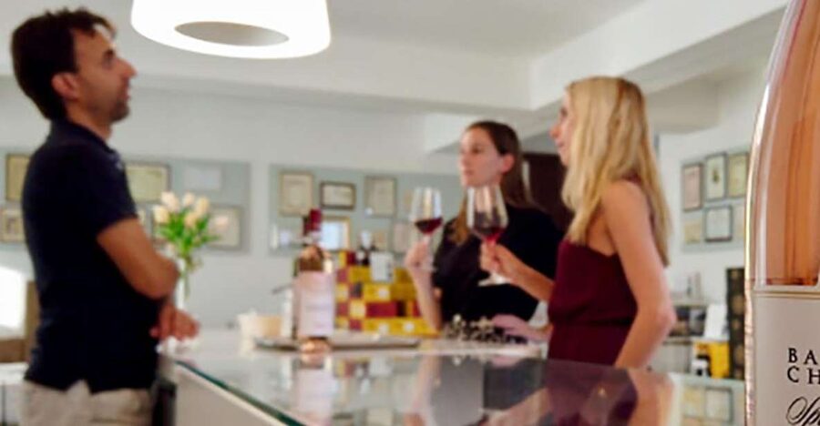 Bardolino: tasting of 6 White and Rosè wines with Lake view - Key Things I’d Put on Your Radar