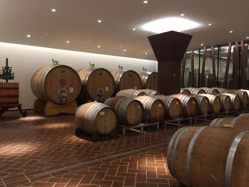 Bardolino: tasting of 6 White and Rosè wines with Lake view - Chardonnay Veronese, Lugana, and Custoza: The White Wine Reality Check