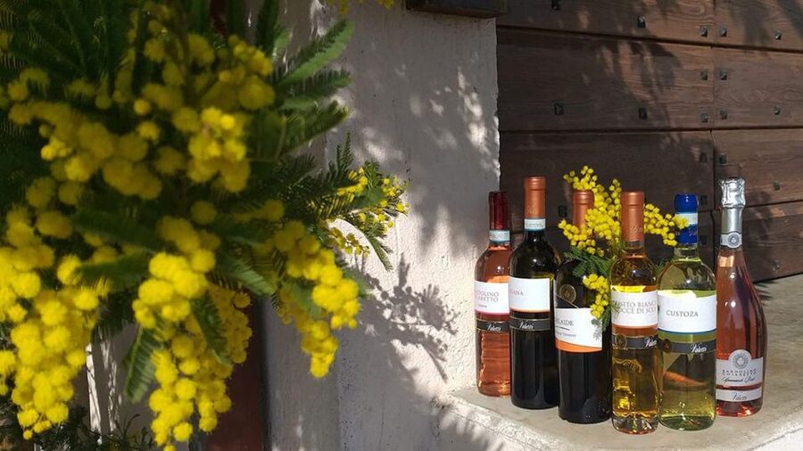 Bardolino: tasting of 6 White and Rosè wines with Lake view - Two Hours Total: How to Make This Tasting Feel Relaxed