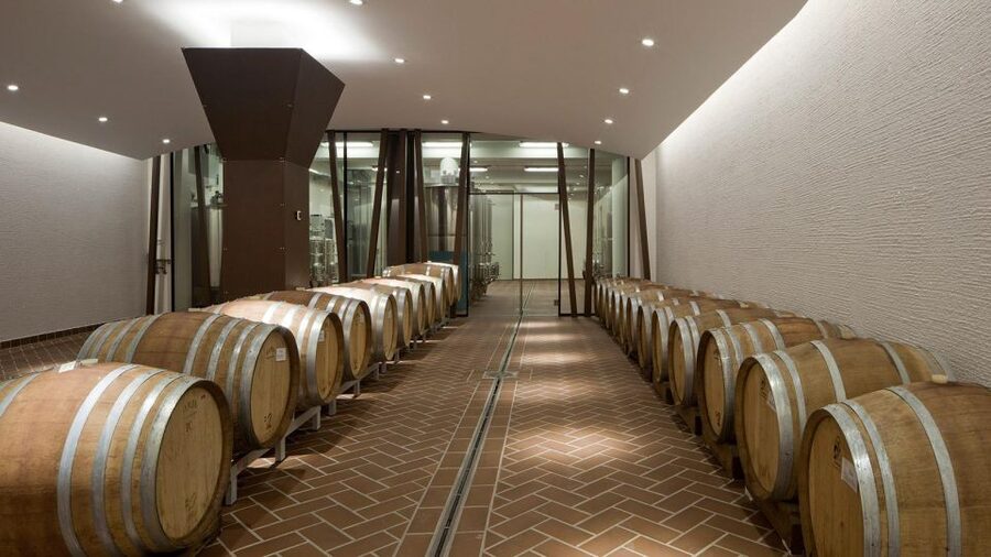 Bardolino: tasting of 6 White and Rosè wines with Lake view - The Cellar Tour and Production Methods Part (That Helps You Taste Better)