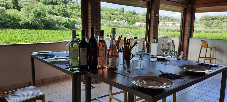 Bardolino: Vineyard Tour with Wine, Olive Oil & Food Tasting - Quick hits before you go
