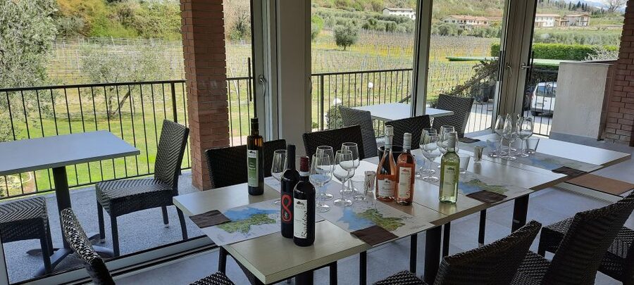 Bardolino: Vineyard Tour with Wine, Olive Oil & Food Tasting - The terrace tasting: five wines, paired with local food