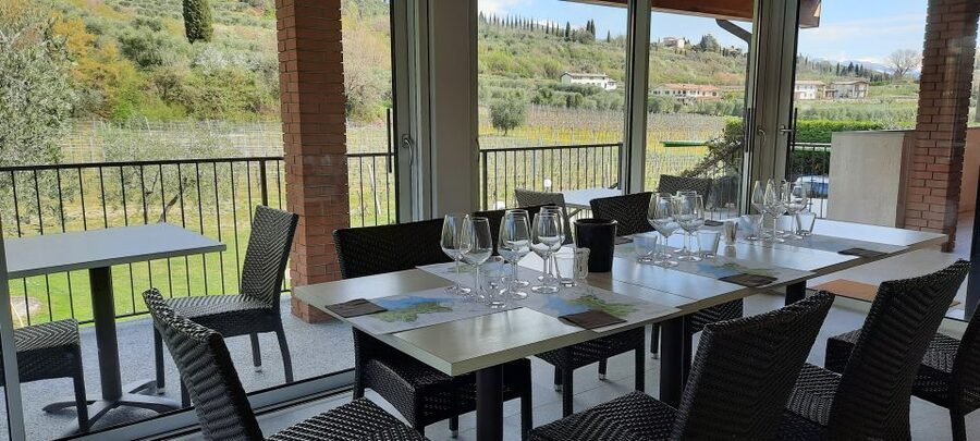 Bardolino: Vineyard Tour with Wine, Olive Oil & Food Tasting - Getting there, and a practical heads up
