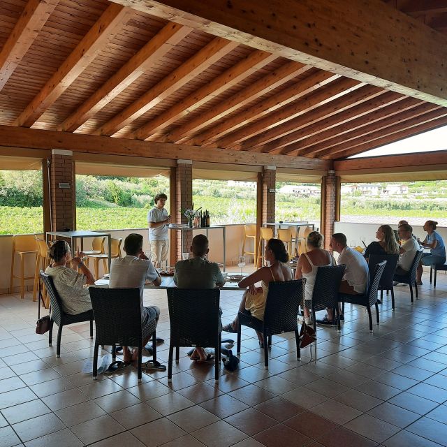 Bardolino: Vineyard Tour with Wine, Olive Oil & Food Tasting - Start at Agriturismo La Rocca, then head for the vines