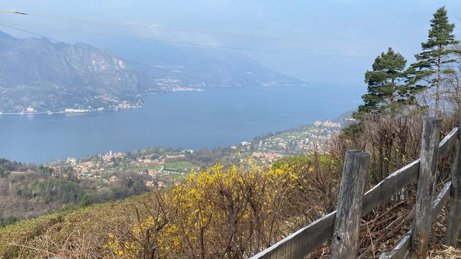 Bellagio: Exclusive picnic at the agrofarm with scenic view - Getting there: ferry start, then a viewpoint rhythm