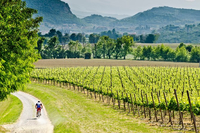 Bergamo and Franciacorta with lunch and cellar visit - Key points to know before you go
