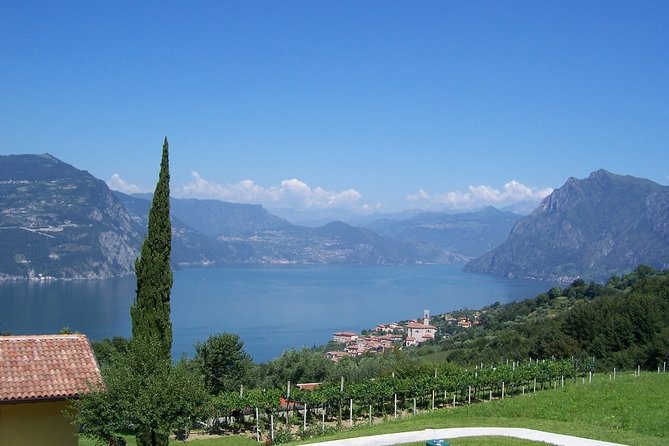 Bergamo and Franciacorta with lunch and cellar visit - Lake Iseo lunch: 3 courses, wine included, and view expectations