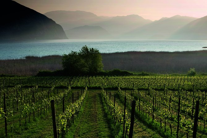Bergamo and Franciacorta with lunch and cellar visit - Time, group size, and the minivan reality