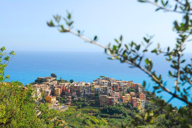 Cinque Terre Pesto Making Class, Boat Tour and Lunch - The boat tour from the water, and why you should time your expectations