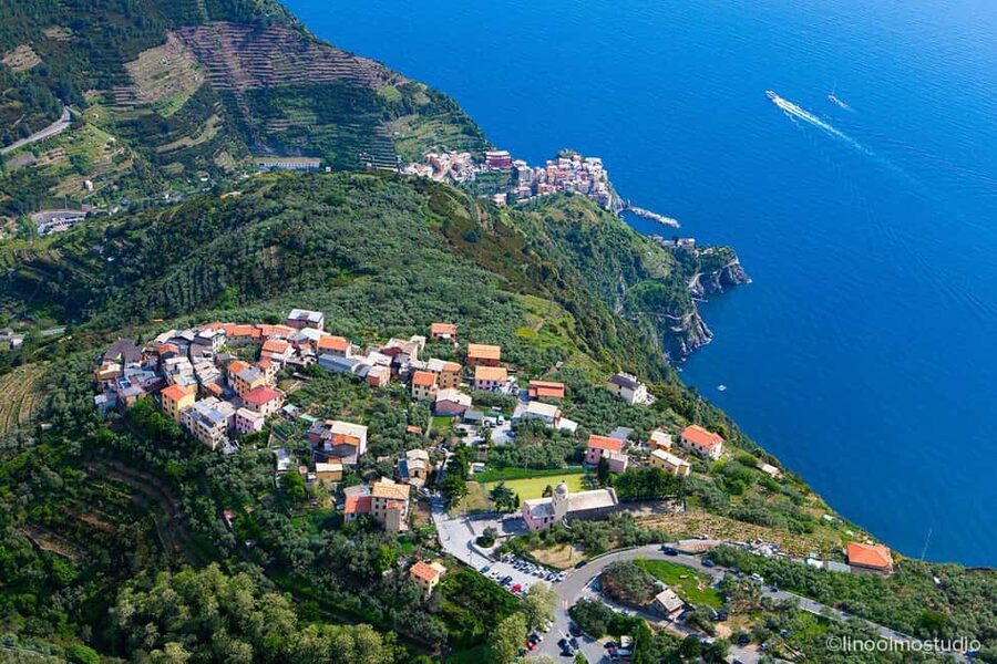 Cinque Terre: tasting in the cellar with visit to vineyards - The terraced vineyard walk: where you learn why the vines are hard to farm