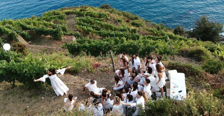 Cinque Terre: tasting in the cellar with visit to vineyards - Inside the cellar: family production since 1913, explained for real people