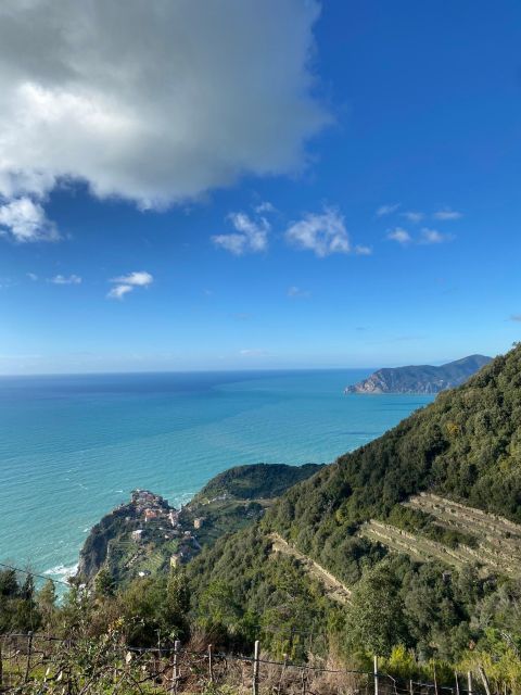 Cinque Terre Tour by van from Lucca, Pisa or La Spezia - The guide factor: English, plus flexibility on the ground