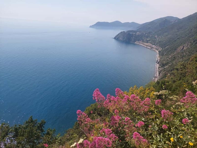 Cinque Terre Villages Walking panoramic tour - A One-Day Cinque Terre Plan That Mixes Walking and Train Views