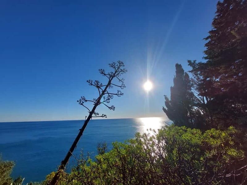 Cinque Terre Villages Walking panoramic tour - How the 6-Hour (and Sometimes 7-Hour) Timing Works in Real Life