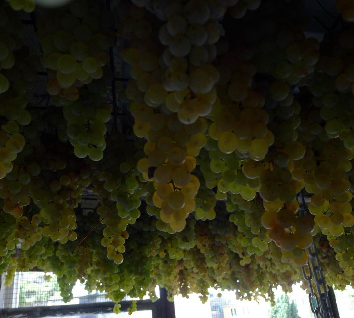 Cinque terre wine tour and tasting with the somelier - Key highlights to plan your Cinque Terre wine walk and tasting