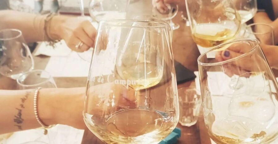 Cinque terre wine tour and tasting with the somelier - Cinque Terre wine tasting starts with the vineyard walk you actually need