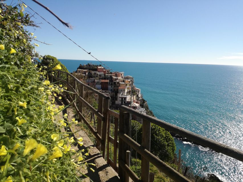 Cinque terre wine tour and tasting with the somelier - Focaccia and the small food rhythm that keeps tasting enjoyable