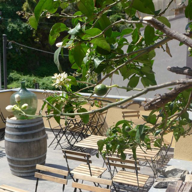 Cinque terre wine tour and tasting with the somelier - Price and value: is $81 a smart buy for Cinque Terre wine learning?