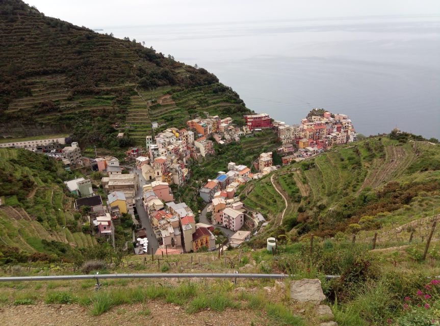 Cinque terre wine tour and tasting with the somelier - Who this tour suits best, and who should consider another option