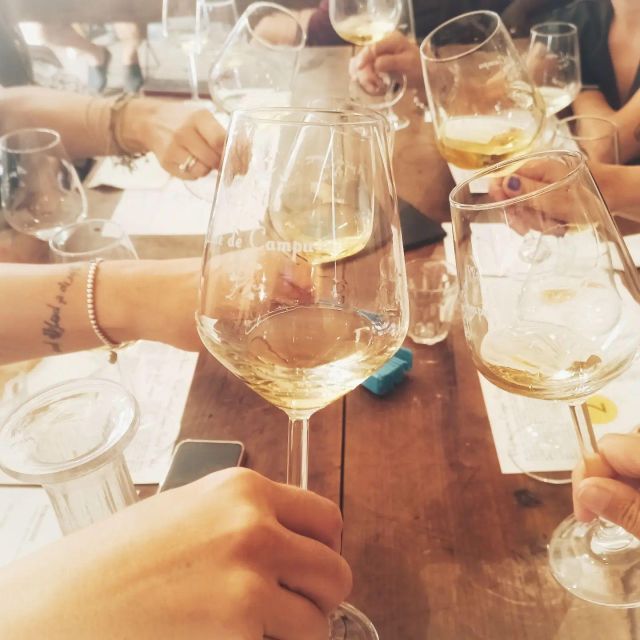 Cinque terre wine tour and tasting with the somelier - The dry-stone walls and amphitheater setting, and why it matters for wine