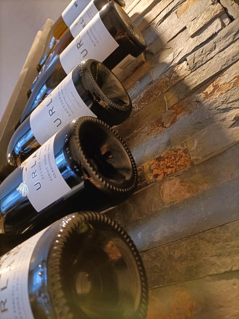 Como: Wine Tasting Experience with Cheese and Cold Cuts - Price in Como, does $59 per person make sense?