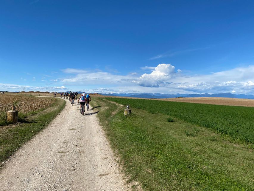 Desenzano: e-Bike Tour with Wine Tasting - Small Group, Live Guide, and Why It Matters