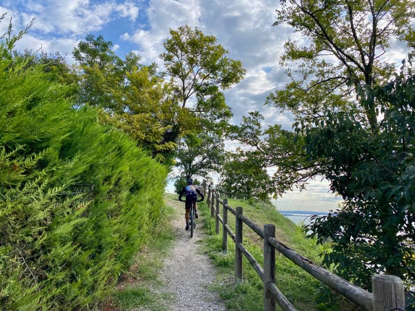 Desenzano: e-Bike Tour with Wine Tasting - Who This Tour Suits Best (And Who Should Skip It)