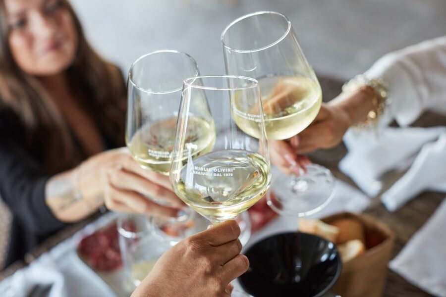 Desenzano: Lugana Wine-Tasting and Vineyard Tour - Key points to know before you go