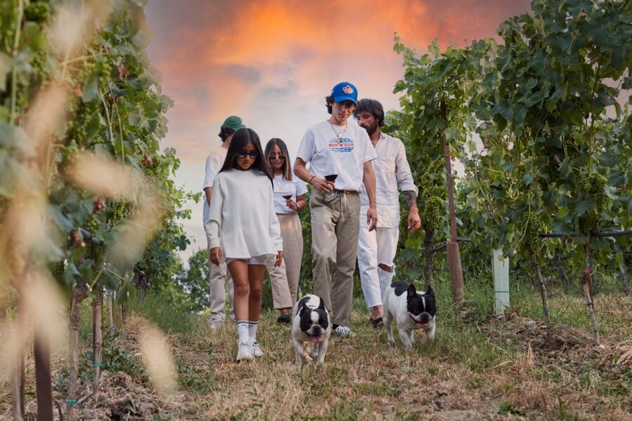 Desenzano: Lugana Wine-Tasting and Vineyard Tour - San Martino della Battaglia meeting point, and why getting there matters