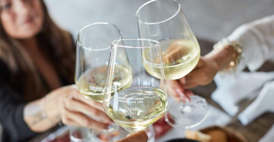 Desenzano: Lugana Wine-Tasting and Vineyard Tour - The vineyard and sustainability walk, where the wine story starts