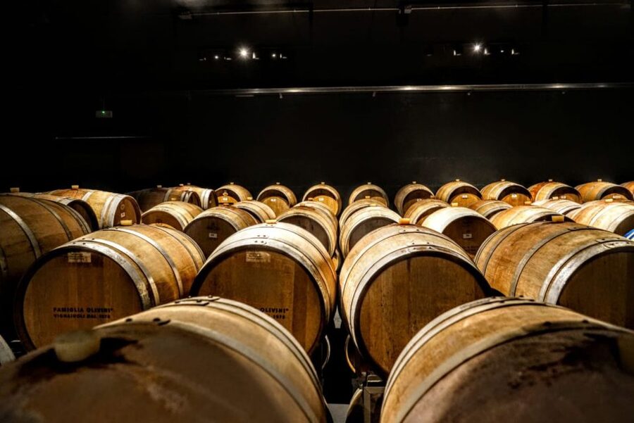 Desenzano: Lugana Wine-Tasting and Vineyard Tour - Weather and terrain: what changes if the vineyard can’t happen