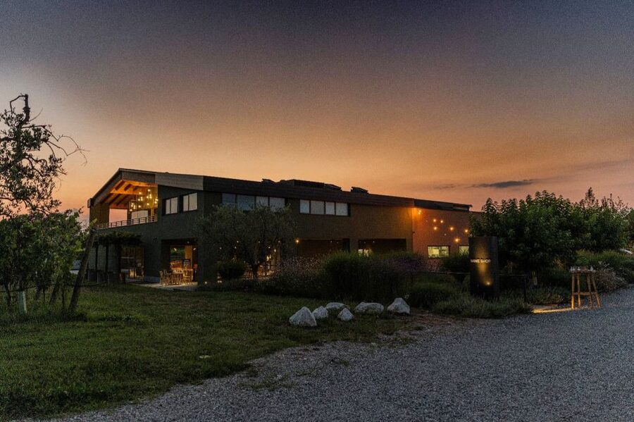 Desenzano: Lugana Wine-Tasting and Vineyard Tour - A family winery in Lugana and Valtenesi wine country