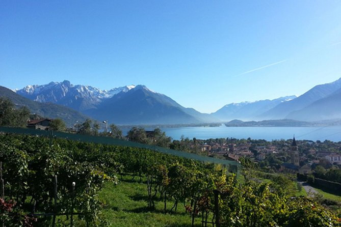 Domaso: Wine Tasting at the Winery on Como Lake - Domaso wine tasting at a Lake Como winery, what you are really signing up for