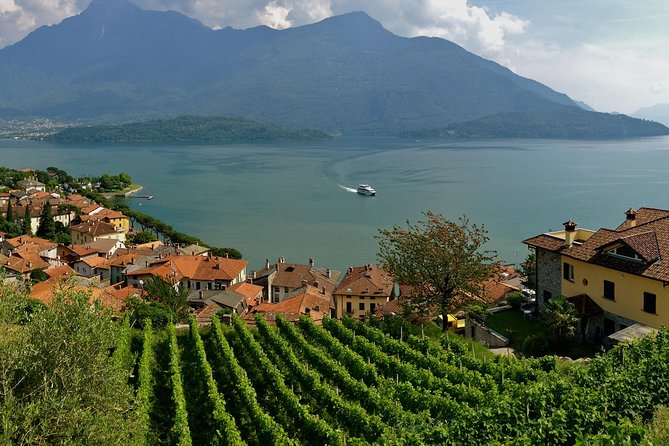 Domaso: Wine Tasting at the Winery on Como Lake - Value check: is $76.22 per person a good deal?