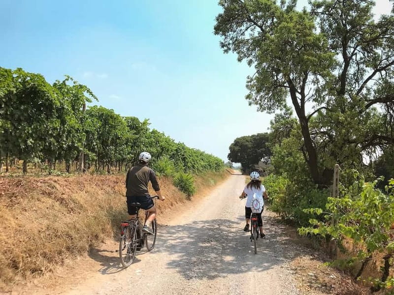 E-bike adventure among villages and medieval castles - Key highlights you will feel fast