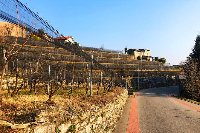 E-Bike Tour Lake Como and Swiss Vineyards - E-Bike Reality Check: Hills, Speed, and Why Confidence Matters