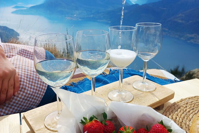 Exclusive Picnic in the Foothills of the Alps with the Lake Views - The Picnic Meal: Local Cheese, Real Farm Connections, and a Relaxed Pace