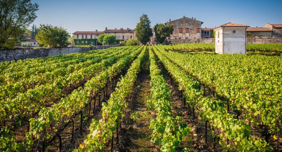 From Bergamo: Winery Tour in Franciacorta with Lunch - Entering a Franciacorta winery: what the guided tour is really teaching
