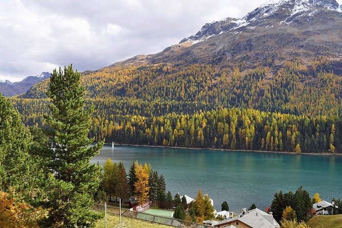 From Lake Como or Milan: Bernina Red Train Tour - Key things to know before you go
