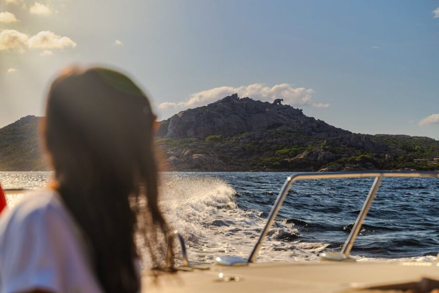 From Lake Maggiore: Private Boat Tour with Pickup/Drop-off - Quick highlights you should care about