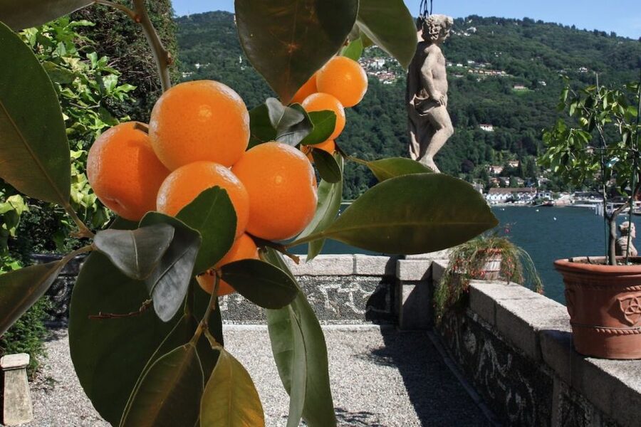 From Lake Maggiore: Private Boat Tour with Pickup/Drop-off - Choosing your boat and itinerary: romantic vs family-friendly pacing