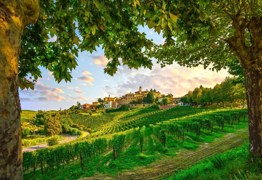 From Milan: Barolo Wine Tasting, Alba Tour and Castle Visit - Key highlights worth planning for